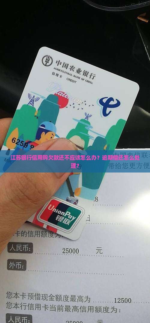 欠江苏银行信用购的钱还不上应该怎么办