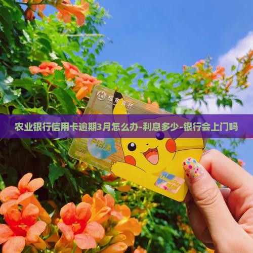 农业银行信用卡逾期3月