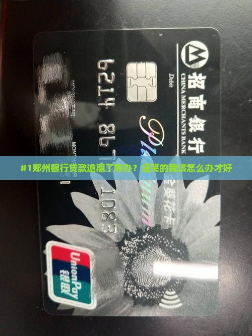 郑州银行贷款逾期应该怎么处理