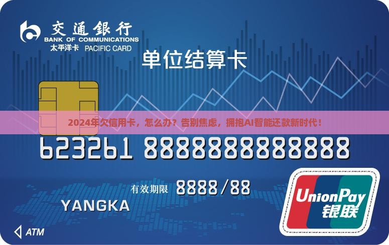 2024年欠信用卡
