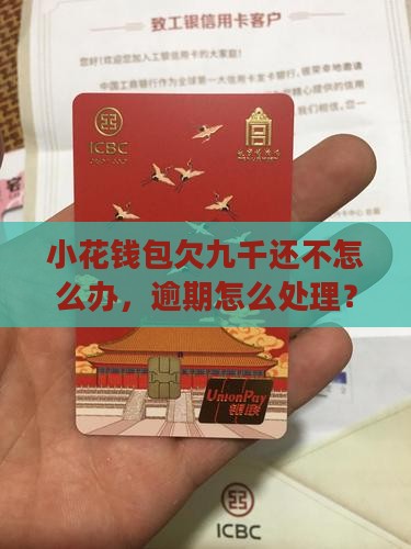 小花钱包欠九千还不上怎么办