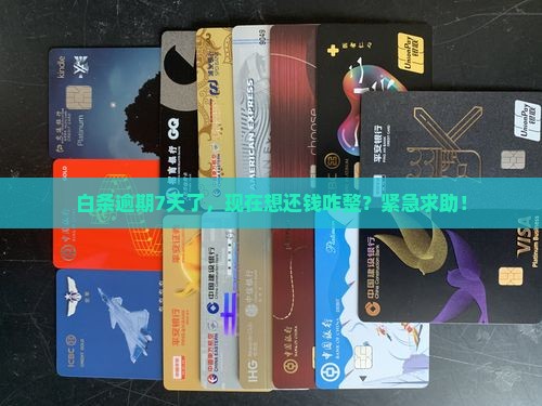 京东白条逾期七天了怎么还款