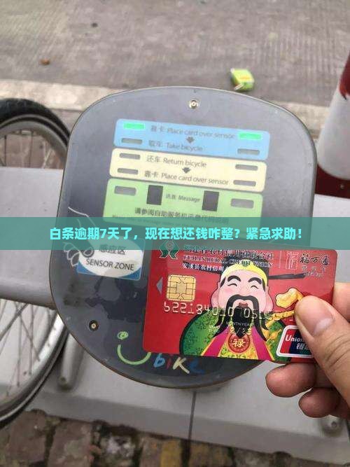 京东白条逾期七天了怎么还款