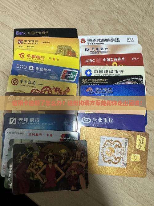 信用卡逾期协调方案及相关问题
