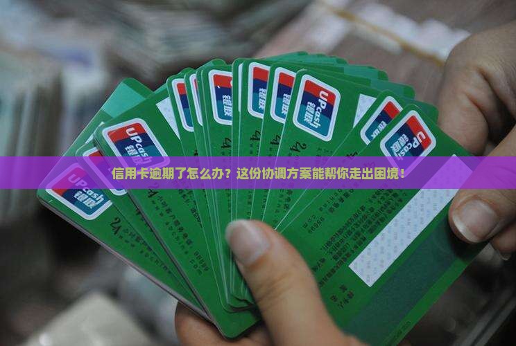 信用卡逾期协调方案及相关问题