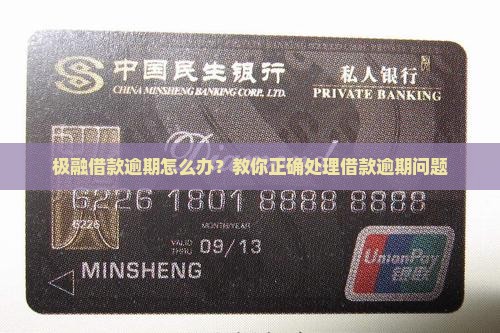 极融借款逾期怎么办避免影响个人信用