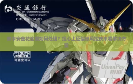 微享安鑫花逾期如何处理