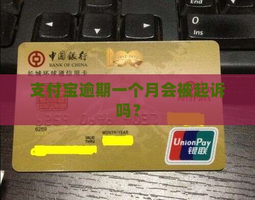 支付宝逾期一个月被起诉吗