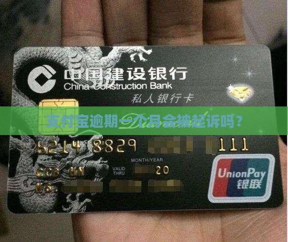 支付宝逾期一个月被起诉吗