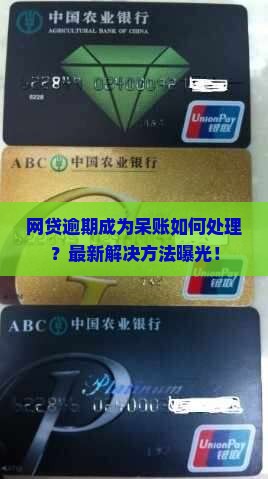 网贷逾期成为呆账如何处理