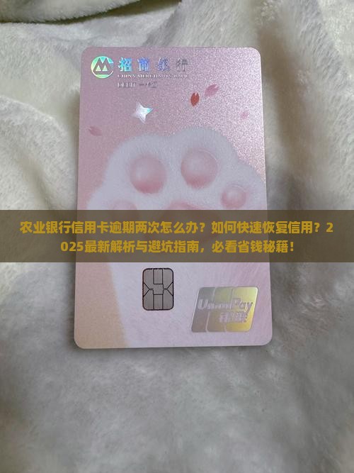 农业银行信用卡逾期两次了