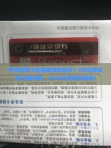 平安信用卡逾期起诉流程浦发银行