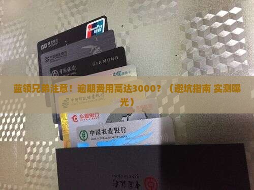 蓝领贷逾期费用高达多少