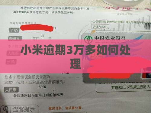 小米随星借逾期3万多应该如何处理