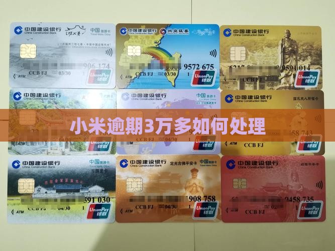 小米随星借逾期3万多应该如何处理