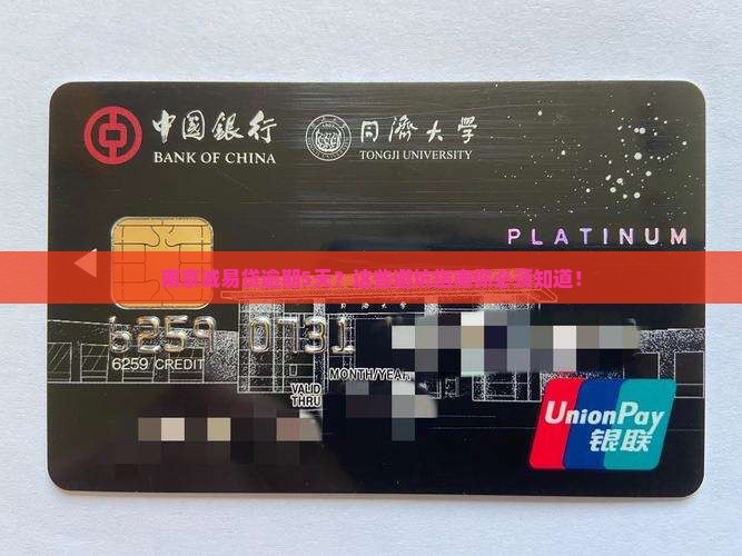 南京诚易贷逾期5天