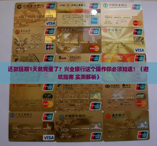 兴业银行还款延期1天怎么办