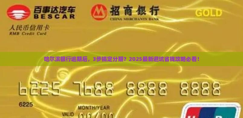 哈尔滨银行逾期怎么办理分期