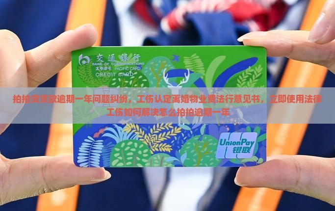 拍拍贷一万多逾期一年了如何解决