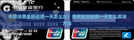 中原金融消费逾期一天怎么办有哪些解决方法