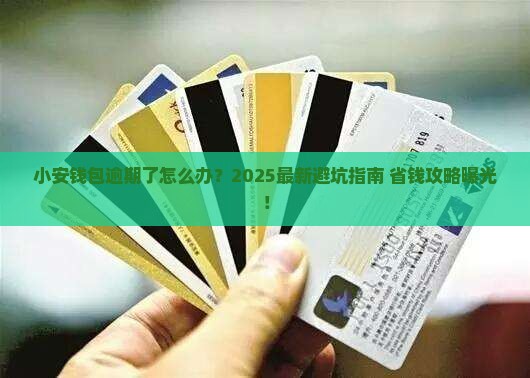小安钱包逾期怎么办如何解决