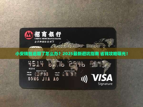 小安钱包逾期怎么办如何解决