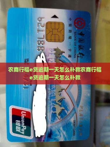 农商行福e贷逾期一天怎么补救
