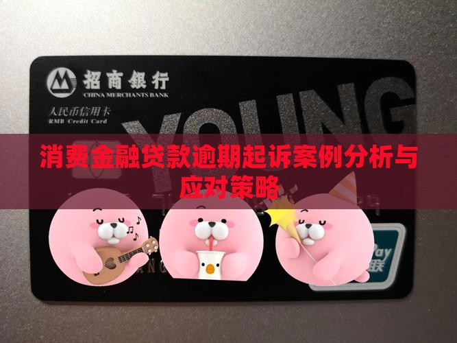 消费金融贷款逾期起诉案例分析与应对策略