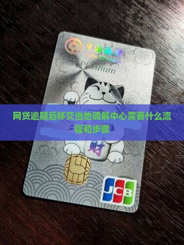 网贷逾期后移交当地调解中心需要什么流程和步骤