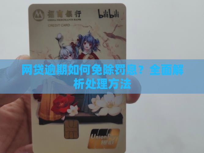 网贷逾期如何免除罚息？全面解析处理方法