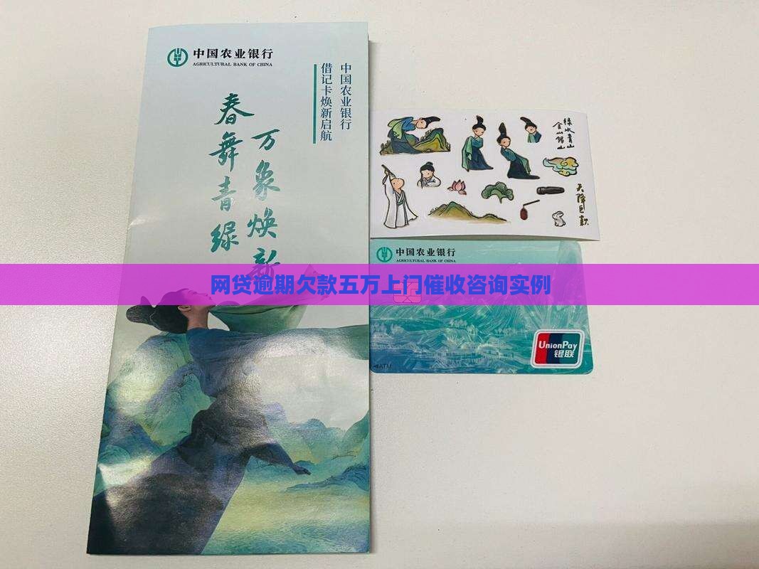 网贷逾期欠款五万上门催收咨询实例