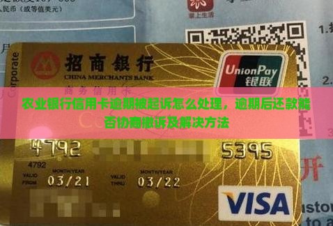 农业银行信用卡逾期被起诉怎么处理，逾期后还款能否协商撤诉及解决方法