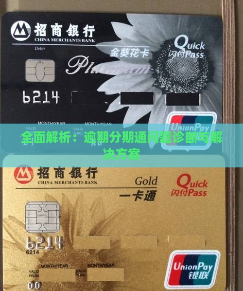 全面解析：逾期分期通问题诊断与解决方案