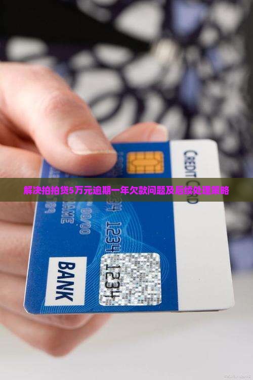 解决拍拍贷5万元逾期一年欠款问题及后续处理策略
