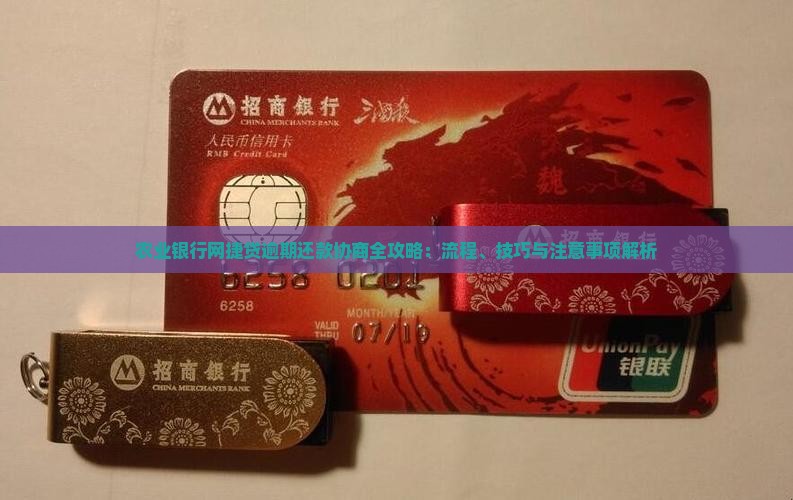 农业银行网捷贷逾期还款协商全攻略：流程、技巧与注意事项解析