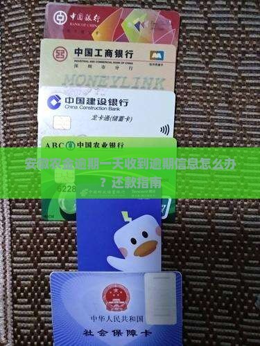 安徽农金逾期一天收到逾期信息怎么办？还款指南