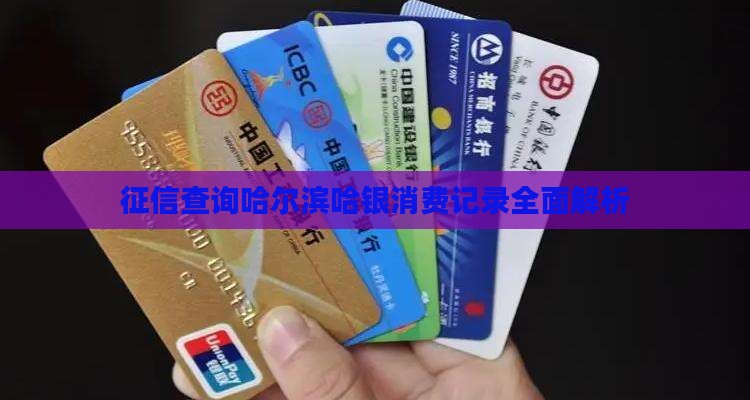 征信查询哈尔滨哈银消费记录全面解析