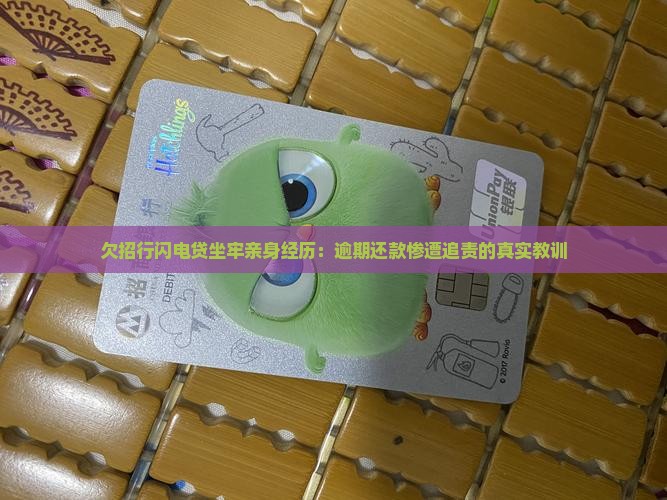 欠招行闪电贷坐牢亲身经历：逾期还款惨遭追责的真实教训