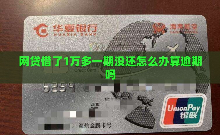 网贷借了1万多一期没还怎么办算逾期吗