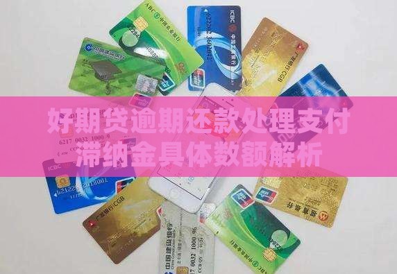 好期贷逾期还款处理支付滞纳金具体数额解析