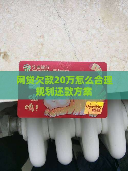 网贷欠款20万怎么合理规划还款方案