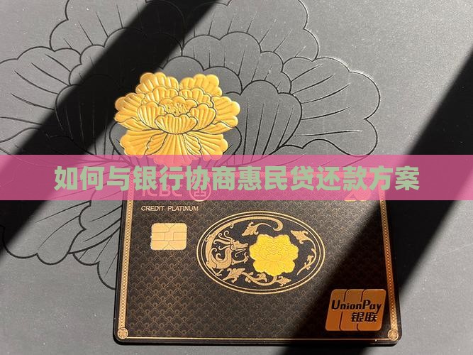如何与银行协商惠民贷还款方案