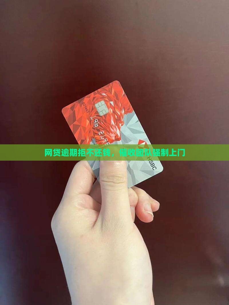 网贷逾期拒不还钱，催收团队强制上门