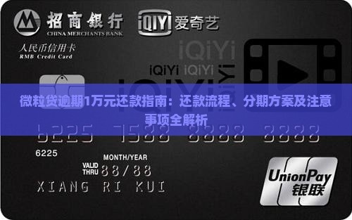 微粒贷逾期1万元还款指南：还款流程、分期方案及注意事项全解析