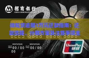 微粒贷逾期1万元还款指南：还款流程、分期方案及注意事项全解析