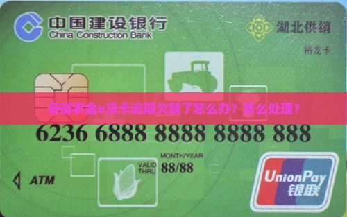 农金e贷卡欠款了怎么办