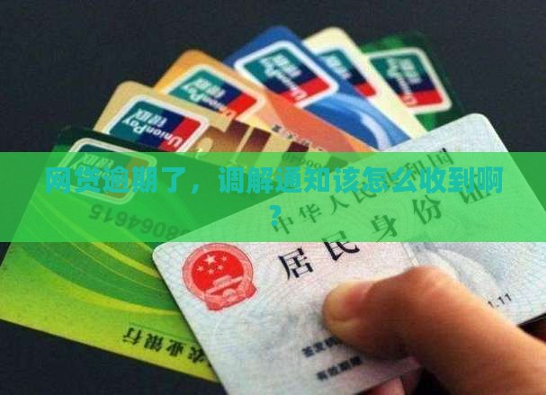 网贷逾期的调解怎么通知