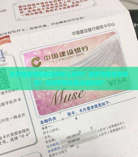 支付宝发短信说起诉应该怎么处理