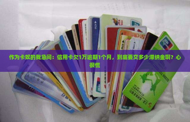 信用卡欠款1万元逾期一个月滞纳金是多少