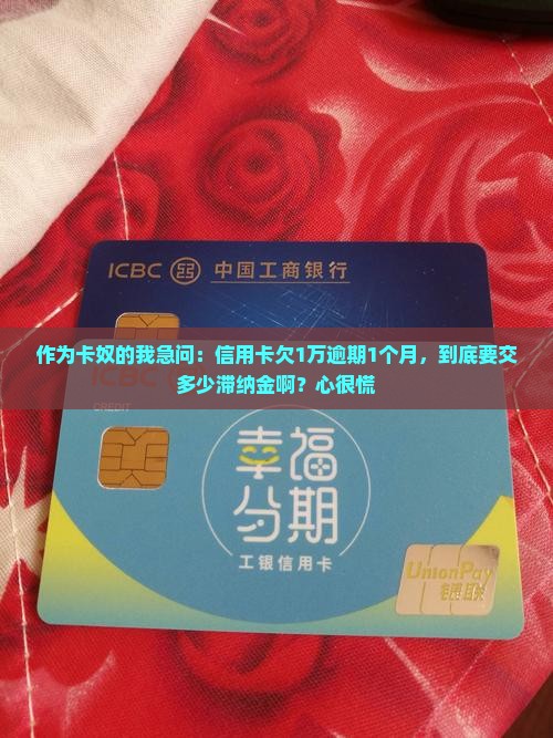 信用卡欠款1万元逾期一个月滞纳金是多少